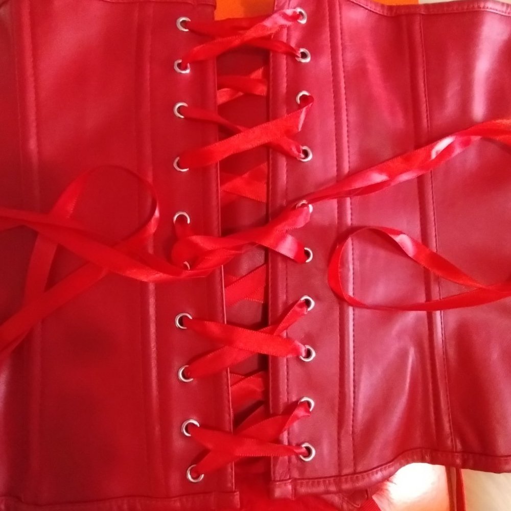 Sexy (6XL) Red Devil Faux Leather Corset and Glitzy Feather Trimmed Acessories - Picture 4 of 9